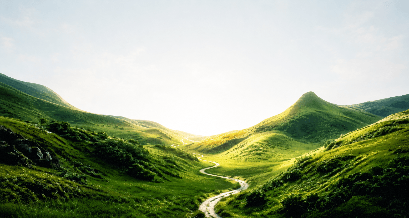 Lush green valley with winding path